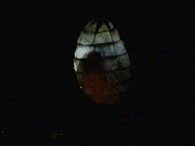 1996-09-04-SF-omfintlig-tv12-hatch